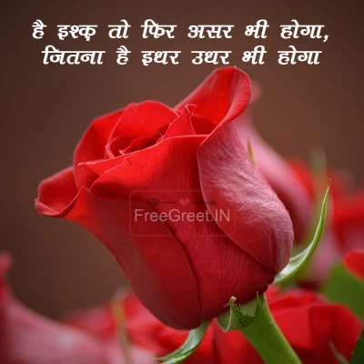 2 Line Love Shayari in Hindi