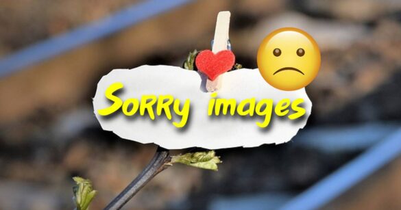Sorry images