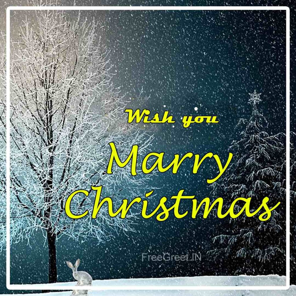 merry christmas wishes 2020 images