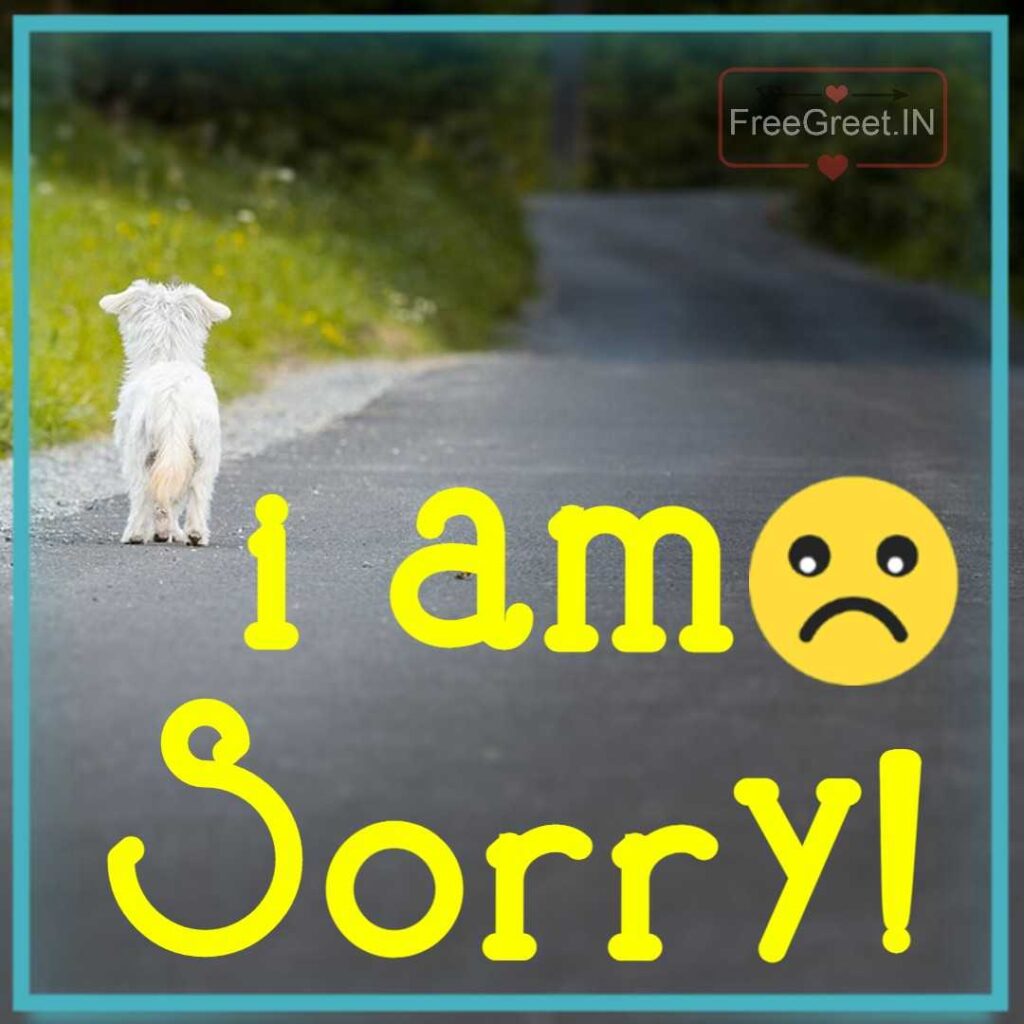 sorry images download 