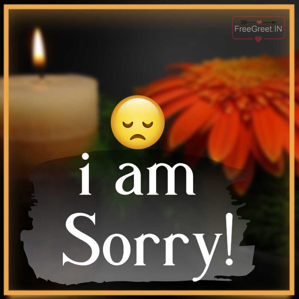 i am sorry images 