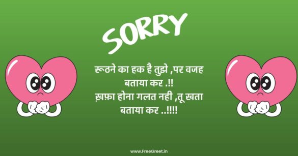 Sorry Shayari