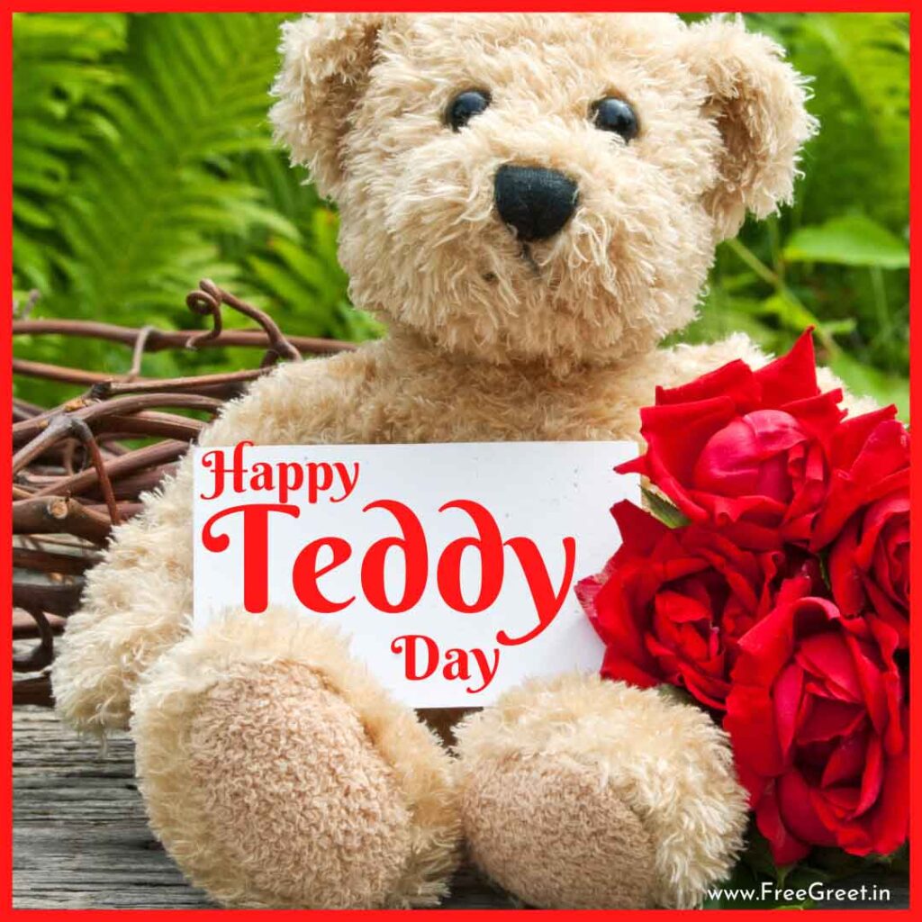 cute teddy day images 