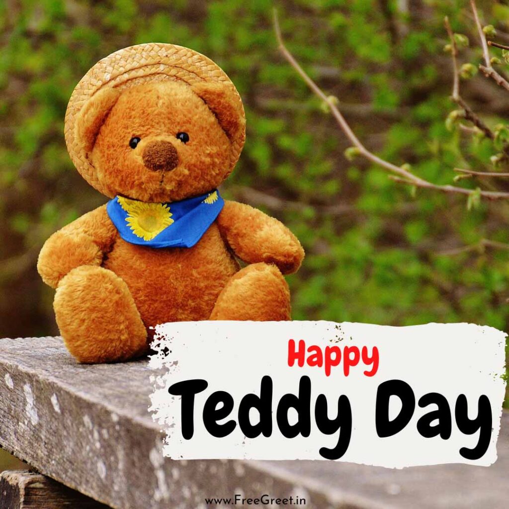 teddy day pic 