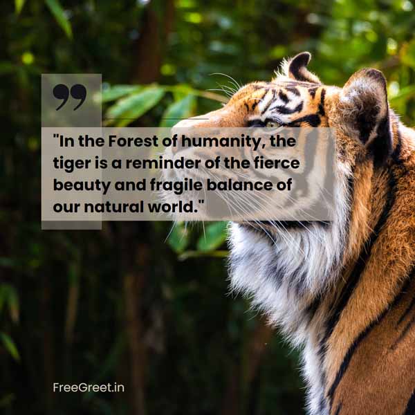 international tiger day quotes