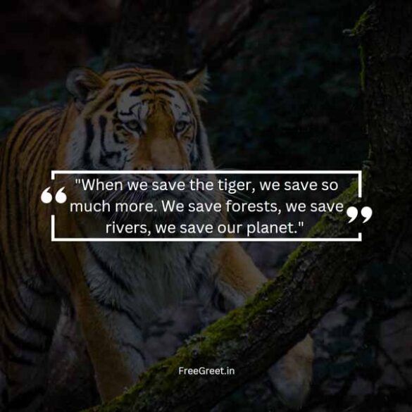 International Tiger Day 2023 Wishes, Quotes Slogan And Status ...