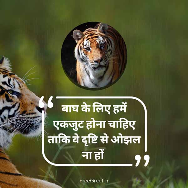 tiger quotes in hindi