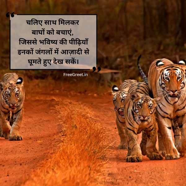 save tiger quotes